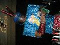 IMG_4278.jpg