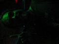 IMG_4289.jpg